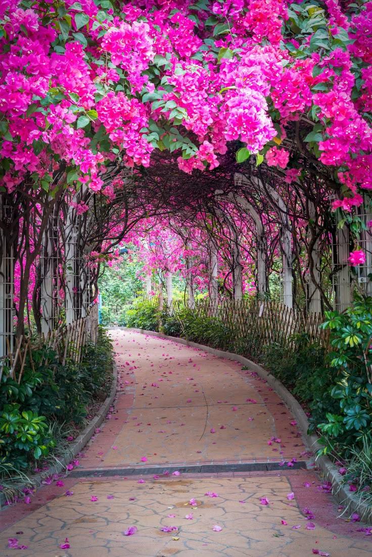 Sunset Hues: A Symphony of Warm Blooms